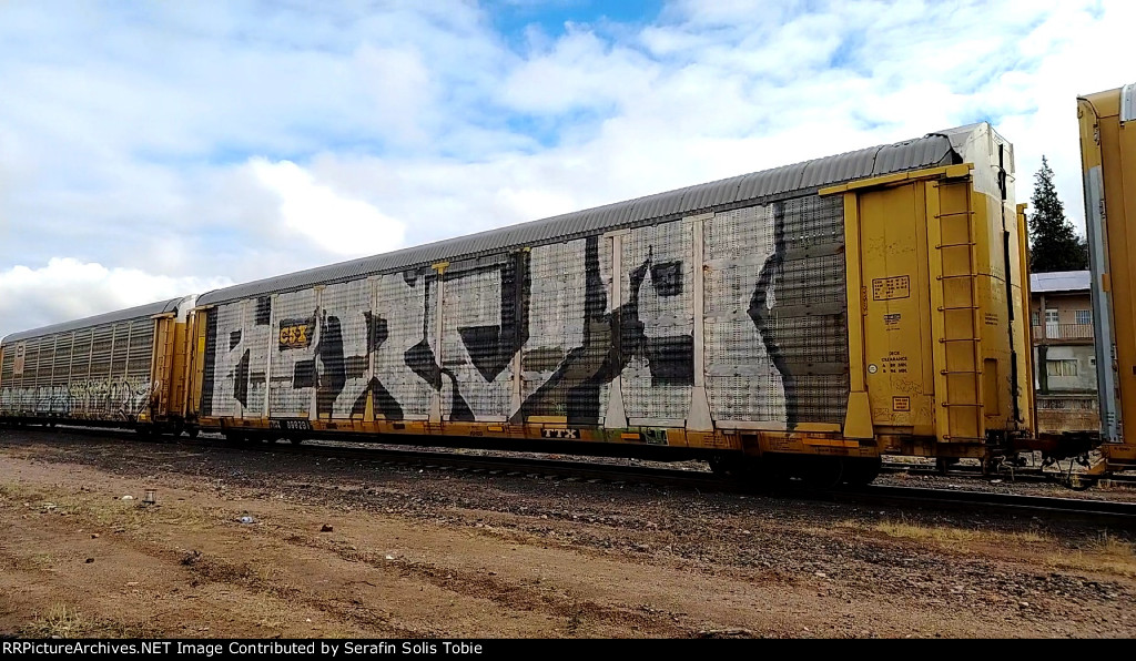 CSX B1674 TTGX 988291 Con Grafiti 